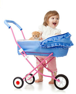 kinderwagen-test